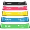 Gritin Resistance Bands, Set of 5 Skin-Friendly Resistance Fitness Exercise Loop Bands with 5 Different Strength Levels - Carrying Case Included - Ideal for Home, Gym, Yoga,...