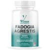 Vinco Fadogia Agrestis Capsules 600mg, Premium 20:1 Stem Fadogia Agrestis Extract - 120 Count - Energy Booster for Men, Sports Performance Supplement, Muscle Recovery...