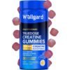 Wellgard Creatine Gummies - Vegan, 3000mg True Dose Creatine Monohydrate Gummies, Increases Physical Performance, Lab Certificate on Product Page, 90 Gummies